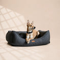 Load image into Gallery viewer, Orthopädisches Hundebett „ BOUCLÉ“ – weich, formstabil & hochwertig