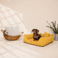Load image into Gallery viewer, Orthopädisches Hundebett „ BOUCLÉ“ – weich, formstabil & hochwertig