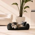 Load image into Gallery viewer, Orthopädisches Hundebett „CORD“ – weich, formstabil & hochwertig | Made in EU