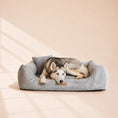 Load image into Gallery viewer, Orthopädisches Hundebett „CORD“ – weich, formstabil & hochwertig | Made in EU