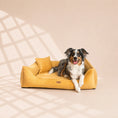 Load image into Gallery viewer, Orthopädisches Hundebett „FINE CORD“ – weich, formstabil & hochwertig