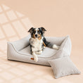 Load image into Gallery viewer, Orthopädisches Hundebett „FINE CORD“ – weich, formstabil & hochwertig