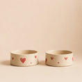 Load image into Gallery viewer, Pet bowl with silicone lid