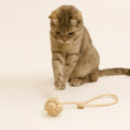 Bild in Galerie-Betrachter laden, Katze spielt mit Katzenspielzeug Affenfaust aus naturfarbenem Sisalseil mit Schlaufe und Glöckchen – handgefertigt in Deutschland, nachhaltig und plastikfrei.