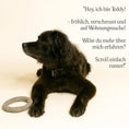 Load image into Gallery viewer, Mit Hund: Interaktives Wurfspiel mit Wollring im Freien