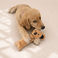Load image into Gallery viewer, Hund spielt mit Koala Hundespielzeug mit Flasche