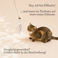 Load image into Gallery viewer, Tierheim-Katze spielt mit Katzenangel mit Holzgriff, flexiblem Metalldraht und feinen Bändern – handgefertigtes Katzenspielzeug aus natürlichen Materialien, nachhaltig produziert.