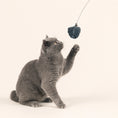 Bild in Galerie-Betrachter laden, Graue Katze spielt mit Katzenangel mit Holzgriff, flexiblem Metalldraht und Makramee-Anhänger aus Baumwolle mit Glöckchen – handgefertigt in Deutschland, nachhaltig & plastikfrei.