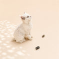 Load image into Gallery viewer, Katze spielt mit Drei Katzenspiralen in Grau und Schwarz – langlebiges, geräuscharmes Katzenspielzeug aus Frankreich im minimalistischen Design.