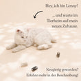 Load image into Gallery viewer, 3-piece set - Cat toy "Spirals"