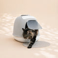 Bild in Galerie-Betrachter laden, Katze inspiziert die Design-Katzentoilette ‚Minù‘ in Grau/Weiß – elegante und pflegeleichte Katzentoilette.