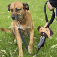 Bild in Galerie-Betrachter laden, Kotbeutelspender Kobe an Hundeleine befestigt mit herausgezogenem Kotbeutel