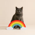 Bild in Galerie-Betrachter laden, Katze sitzt hinter dem Kratzbrett ‚Regenbogen‘ aus robuster Wellpappe – fröhliches und langlebiges Katzenspielzeug.