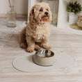 Bild in Galerie-Betrachter laden, Kleiner Hund mit Napf auf Silikonmatte – sicherer Stand.