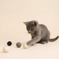 Bild in Galerie-Betrachter laden, Katze spielt mit Fünf handgefilzten Wollbälle in Weiß, Hellgrau und Dunkelgrau – nachhaltiges, natürliches Katzenspielzeug aus Lettland.“