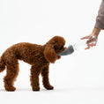 Bild in Galerie-Betrachter laden, Hundetrinkflasche 500 ml – auslaufsichere Trinkflasche für unterwegs