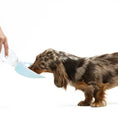 Bild in Galerie-Betrachter laden, Hund trinkt aus geöffneter Outdoor-Trinkflasche