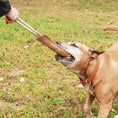 Load image into Gallery viewer, Hund spielt mit Wildleder-Dummy beim Apportieren