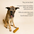 Load image into Gallery viewer, Tierheimhund spielt mit dem gelben Hundespielzeug „Wursty“