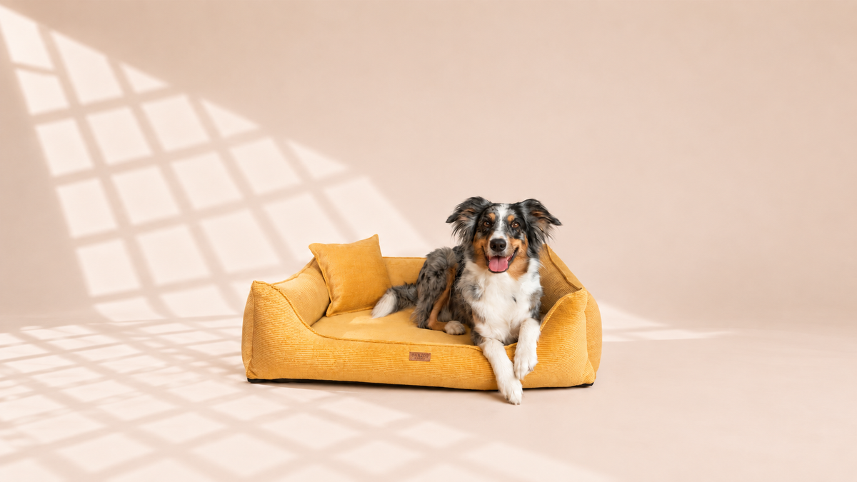 Hundebett richtig ausmessen – so findest du die passende Größe