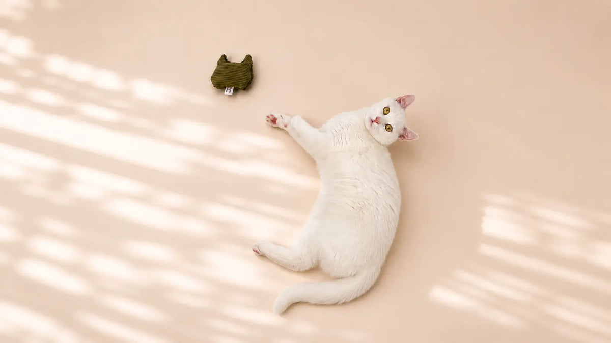 Katze spielt mit einem Duftkissen mit Katzenminze als natürliche Beschäftigung