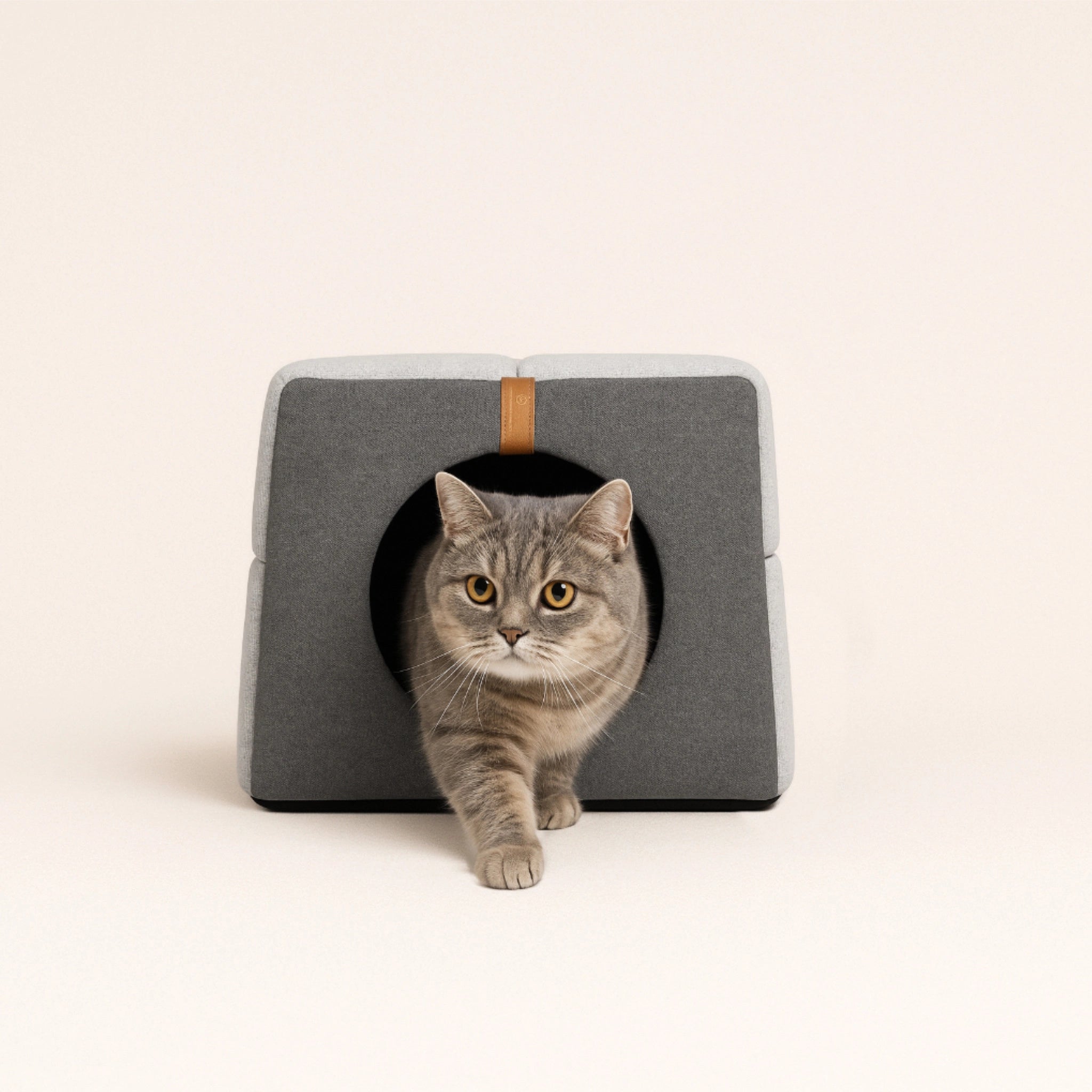 Graues 2-in-1 Haustierbett von Rexproduct aus robustem Stoff – wandelbar zwischen geschlossener Höhle und offenem Liegeplatz, modernes minimalistisches Design. Graue Katze läuft  aus der Haustierhöhle raus.