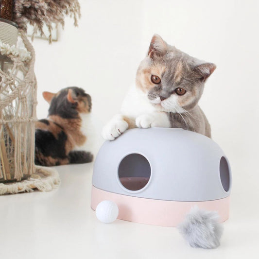 Katze sitzt hinter 3-in-1 Katzenspielzeug in Graublau und Rosé mit austauschbaren Spielmodi – Labyrinth, Kugelbahn und Jagdspiel in einem, interaktives und langlebiges Katzenspielzeug.