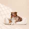 Load image into Gallery viewer, Orthopädisches Hundebett „ BOUCLÉ“ – weich, formstabil & hochwertig
