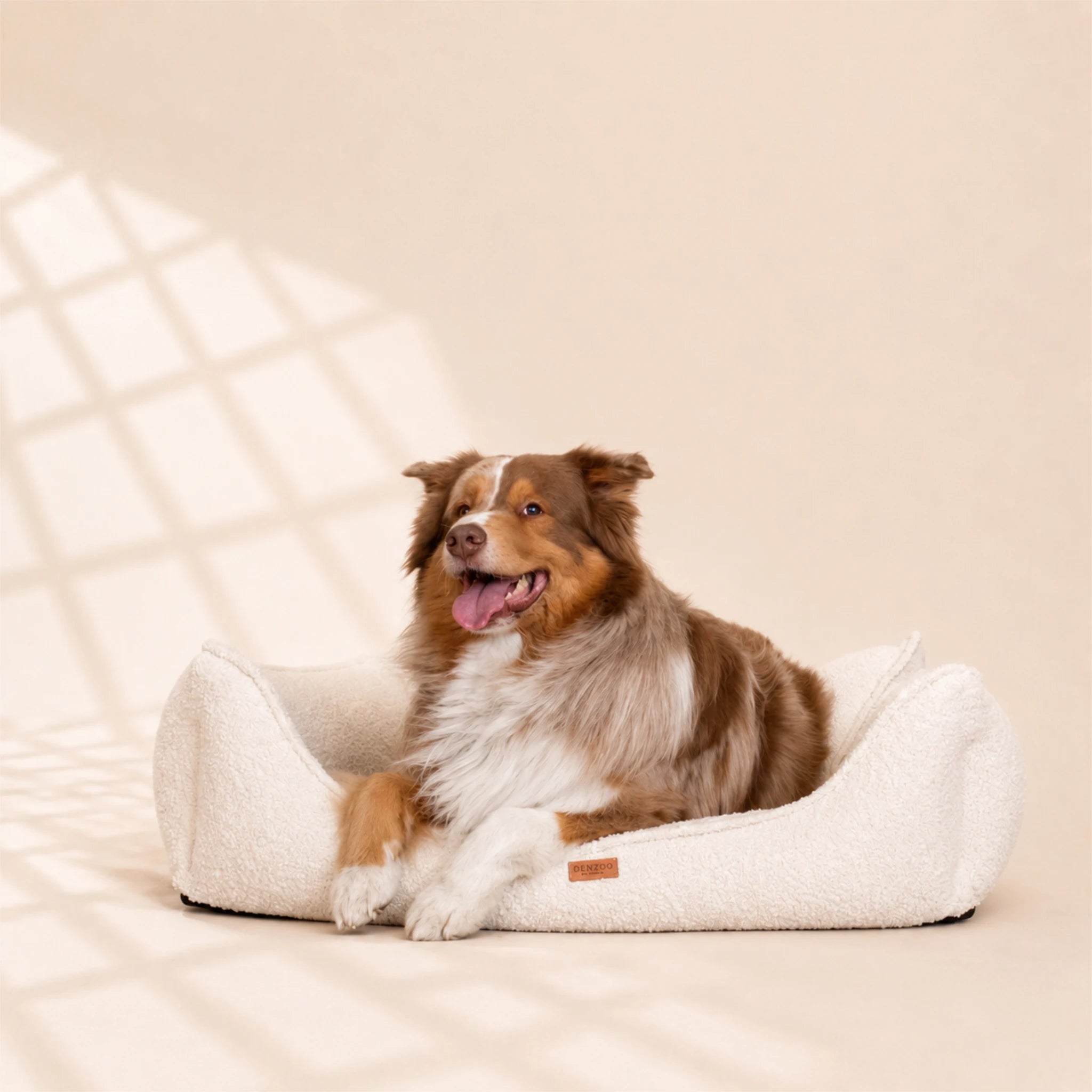 Orthopädisches Hundebett „ BOUCLÉ“ – weich, formstabil & hochwertig