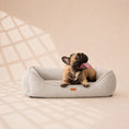 Load image into Gallery viewer, Orthopädisches Hundebett „ BOUCLÉ“ – weich, formstabil & hochwertig
