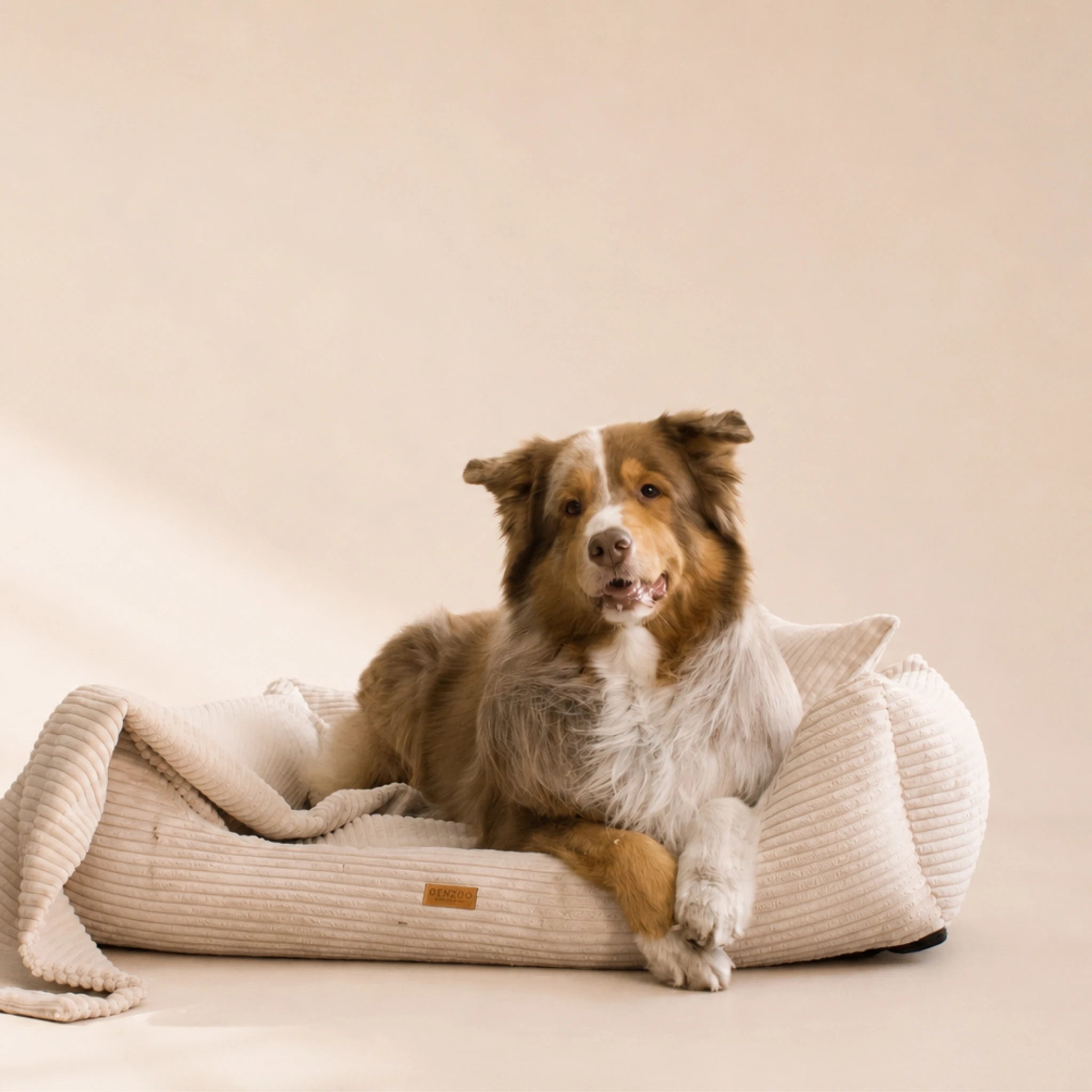 Orthopädisches Hundebett „CORD“ – weich, formstabil & hochwertig | Made in EU