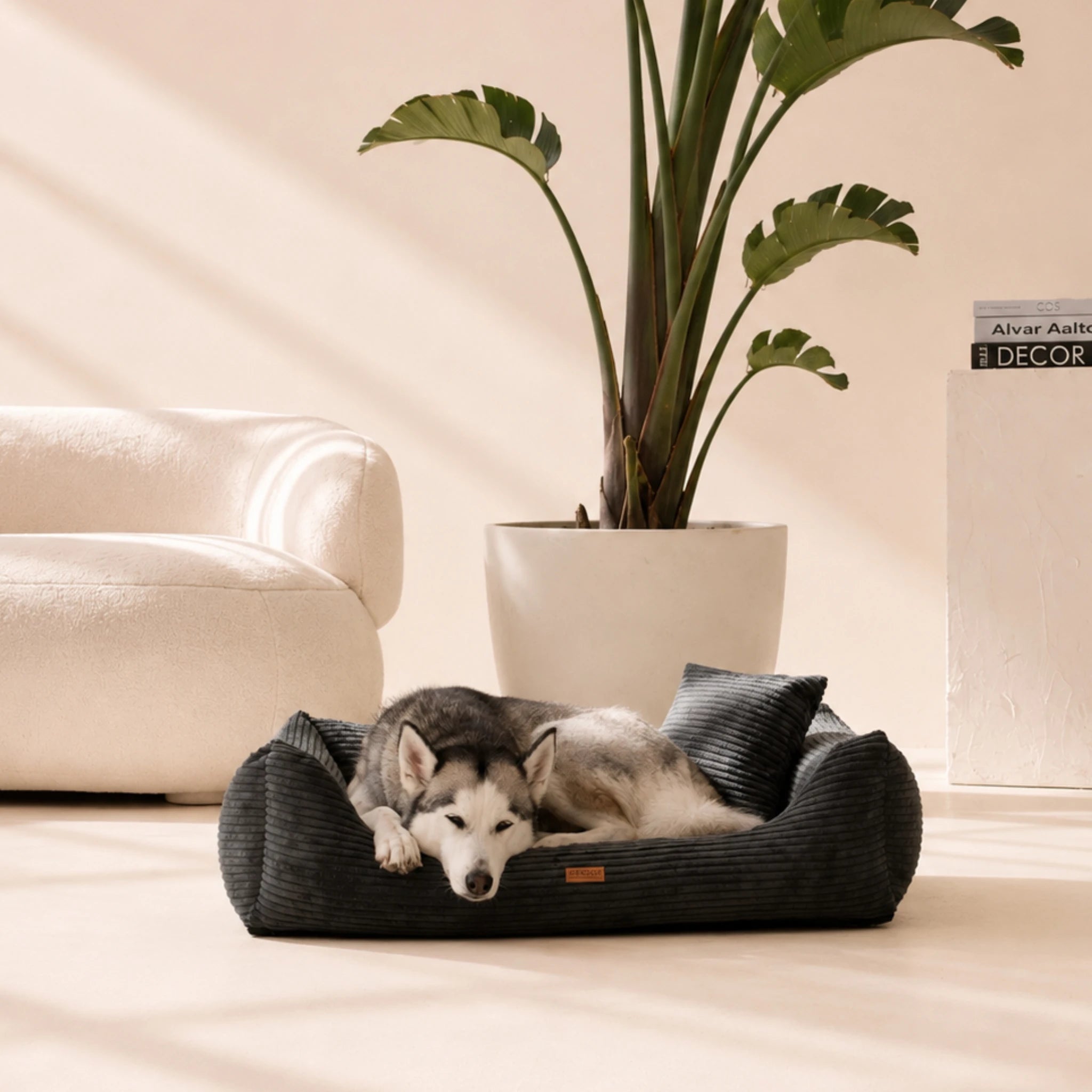 Orthopädisches Hundebett „CORD“ – weich, formstabil & hochwertig | Made in EU