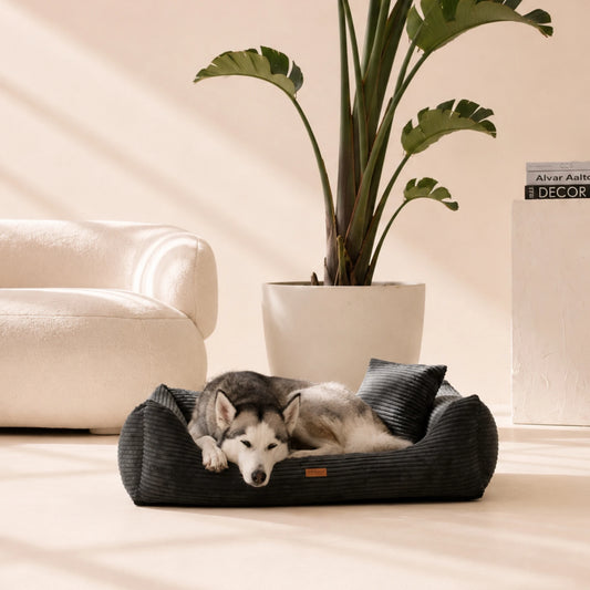 Orthopädisches Hundebett „CORD“ – weich, formstabil & hochwertig | Made in EU