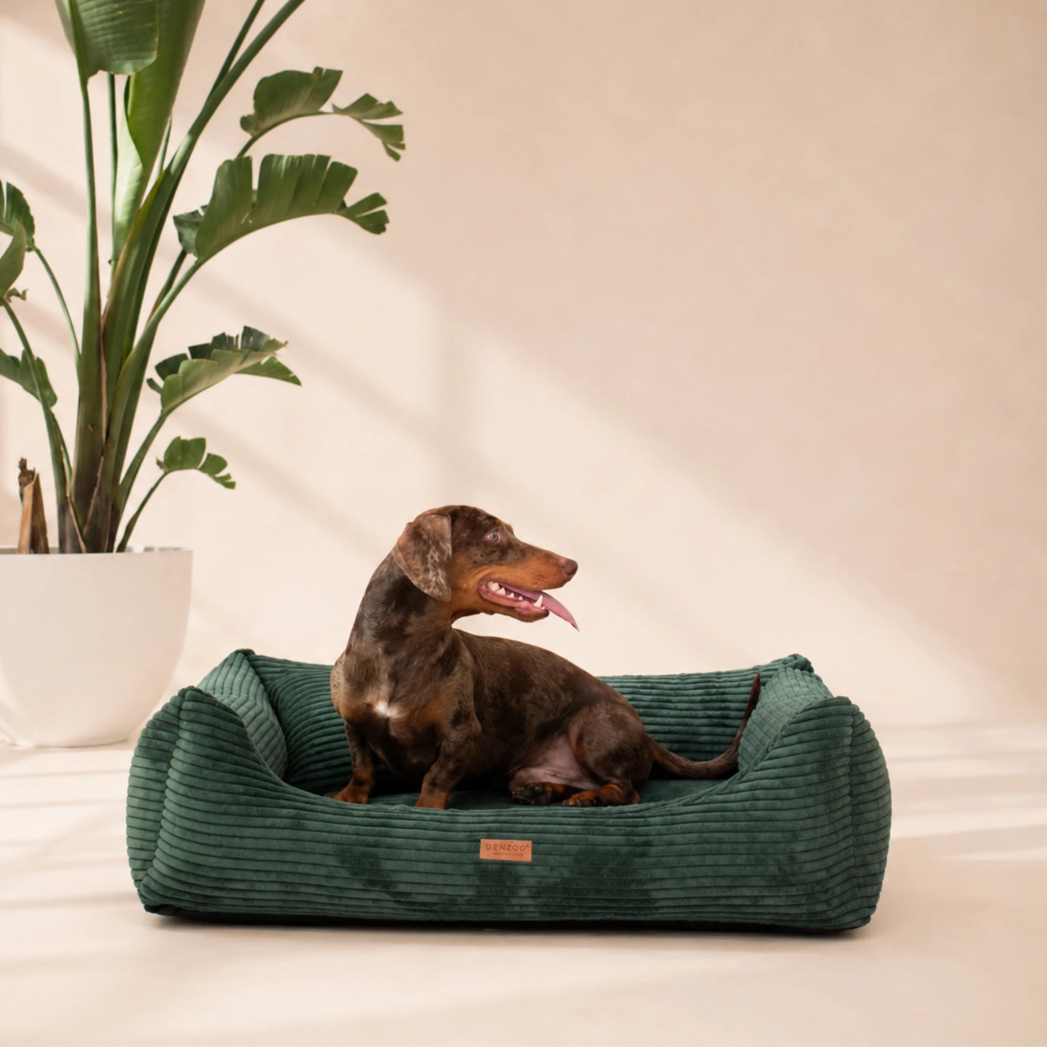 Orthopädisches Hundebett „CORD“ – weich, formstabil & hochwertig | Made in EU