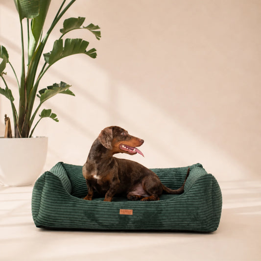 Orthopädisches Hundebett „CORD“ – weich, formstabil & hochwertig | Made in EU