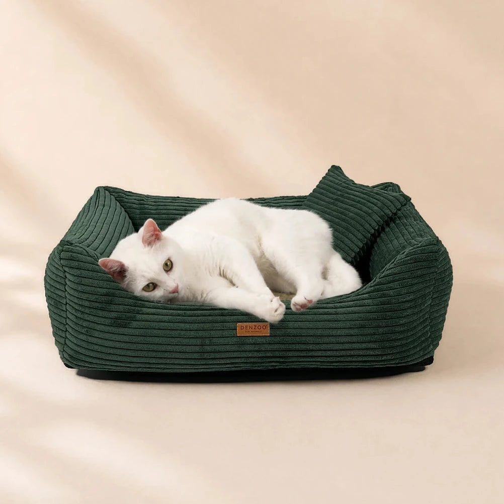 Orthopädisches Katzenbett „CORD“ – weich, formstabil & hochwertig | Made in EU