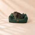 Load image into Gallery viewer, Orthopädisches Katzenbett „CORD“ – weich, formstabil & hochwertig | Made in EU
