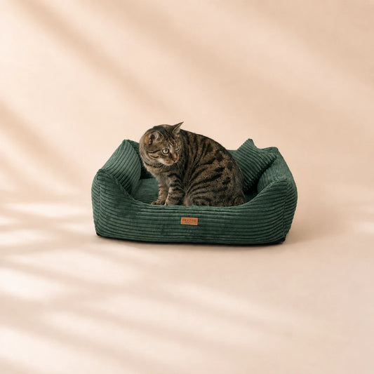Orthopädisches Katzenbett „CORD“ – weich, formstabil & hochwertig | Made in EU