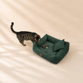 Load image into Gallery viewer, Orthopädisches Katzenbett „CORD“ – weich, formstabil & hochwertig | Made in EU
