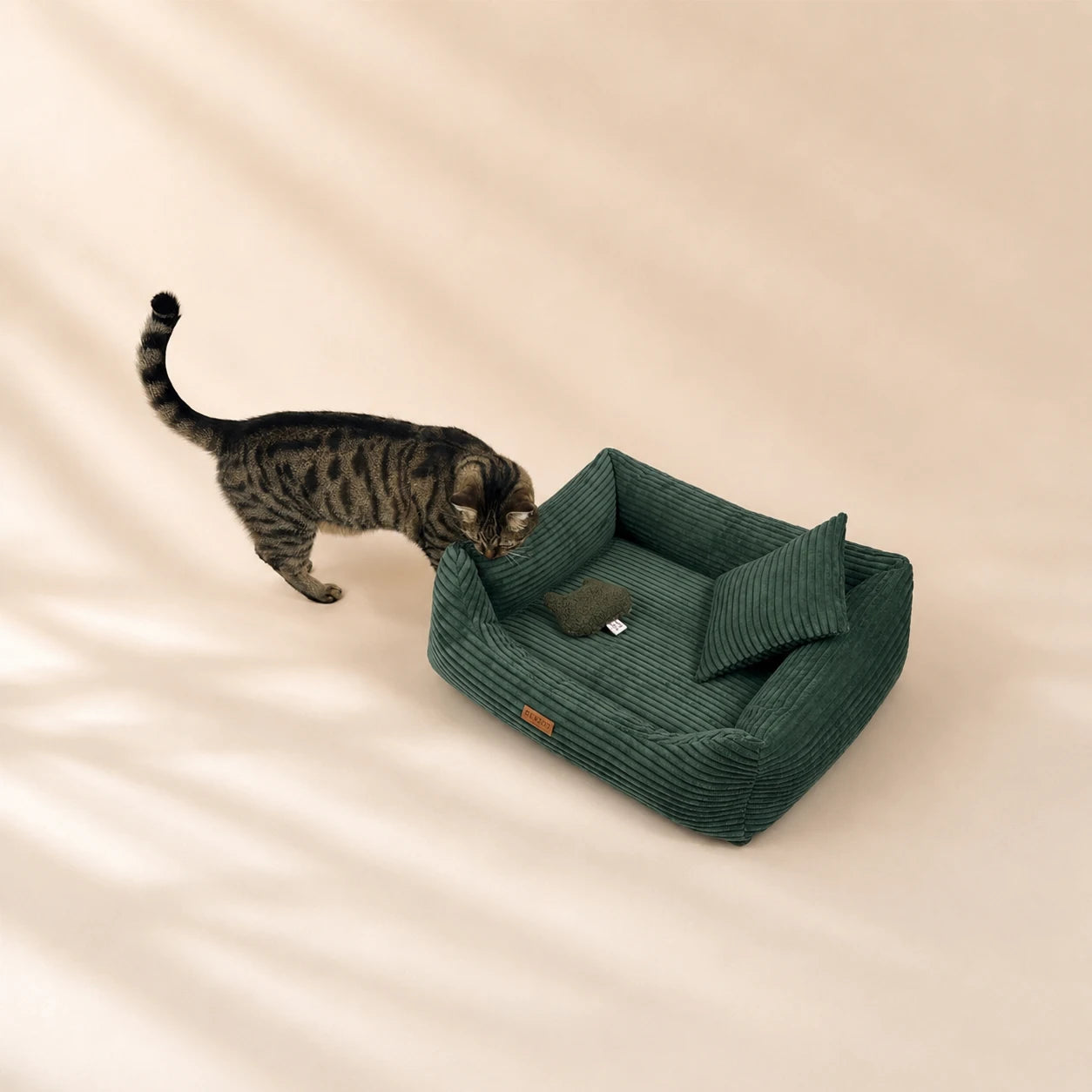 Orthopädisches Katzenbett „CORD“ – weich, formstabil & hochwertig | Made in EU