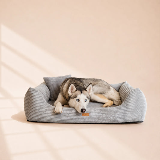 Orthopädisches Hundebett „CORD“ – weich, formstabil & hochwertig | Made in EU