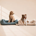 Load image into Gallery viewer, Orthopädisches Hundebett „CORD“ – weich, formstabil & hochwertig | Made in EU

