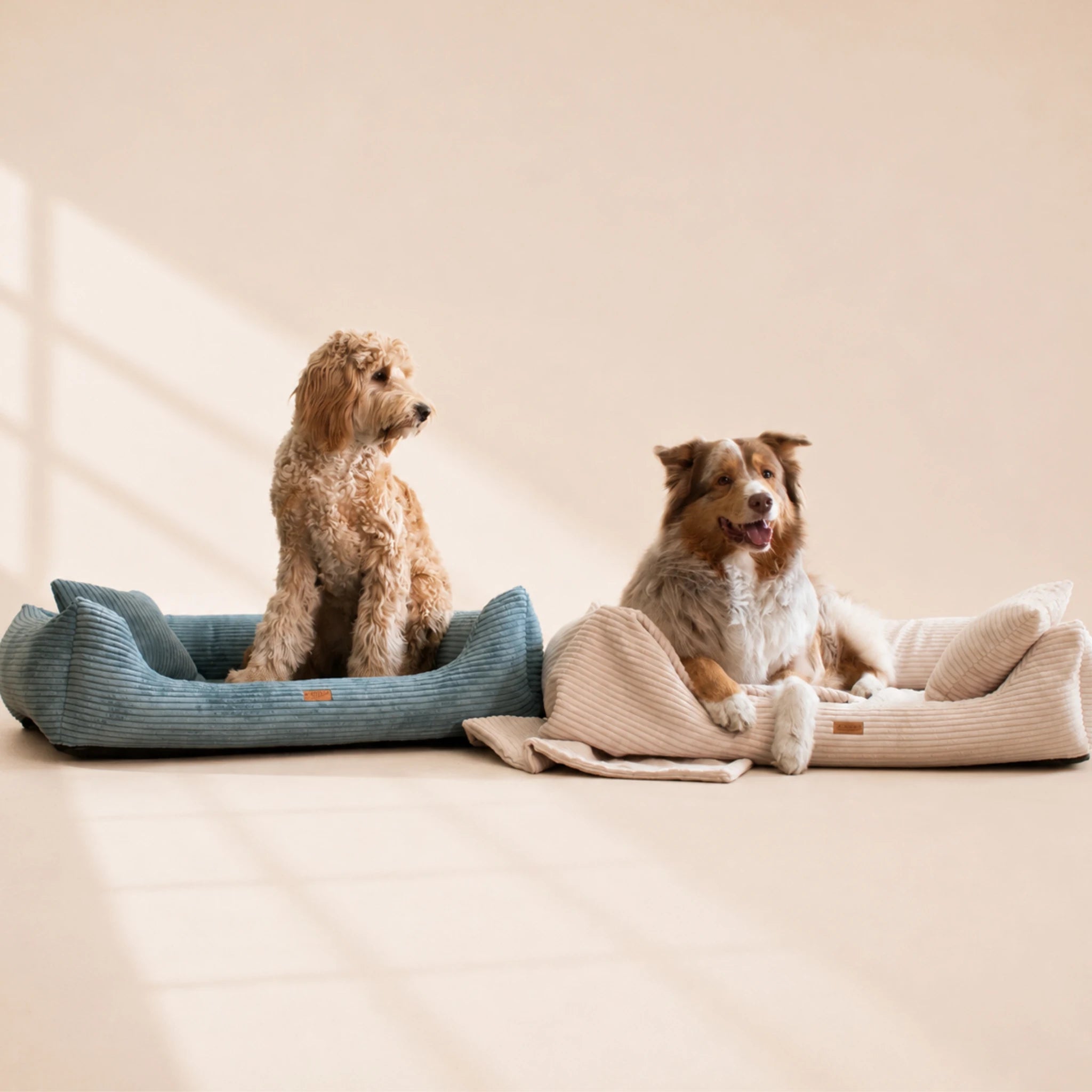 Orthopädisches Hundebett „CORD“ – weich, formstabil & hochwertig | Made in EU