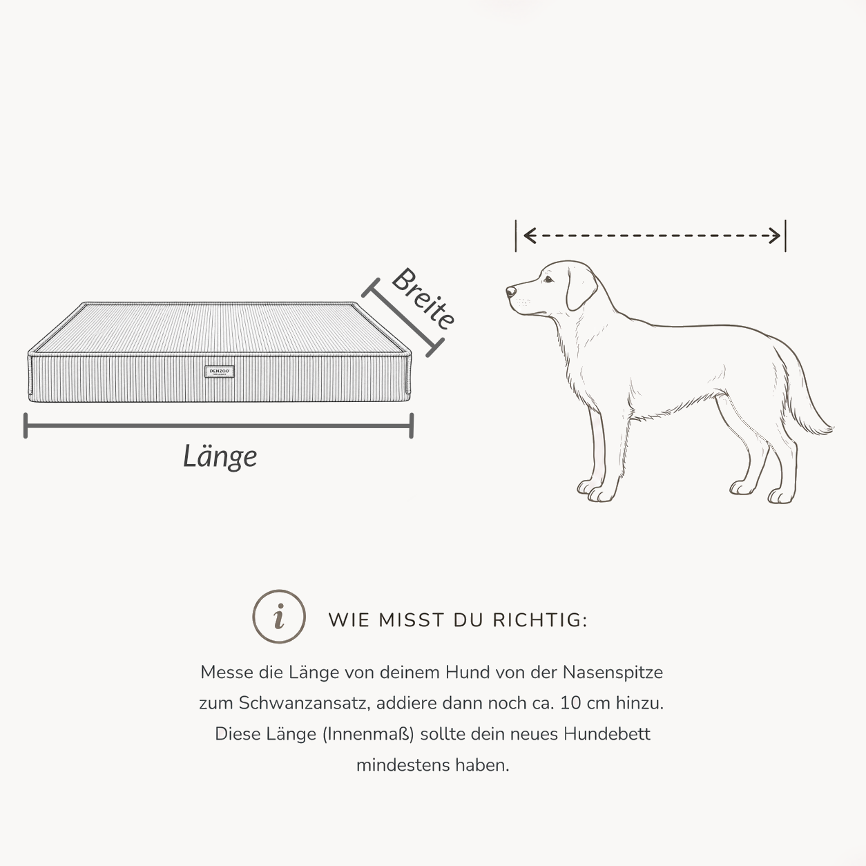 Größenberatung und Messanleitung für Orthopädische Hundematratze „FINE CORD“ – weich, formstabil & hochwertig