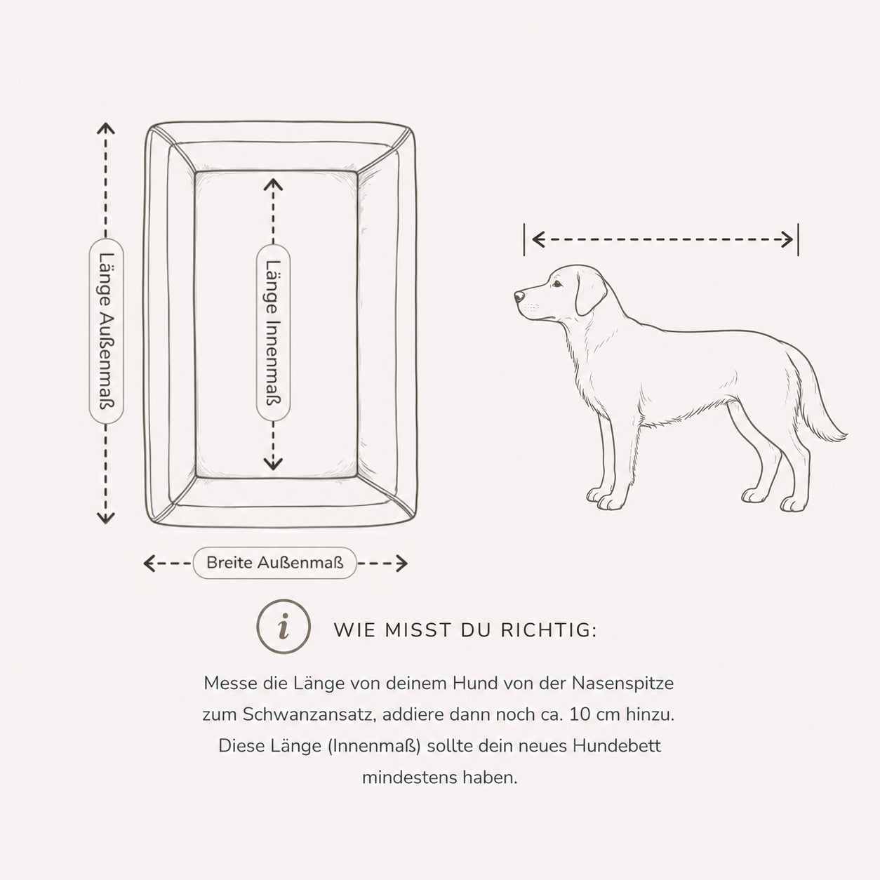 Größenberatung und Messanleitung für Orthopädische Hundematratze „FINE CORD“ – weich, formstabil & hochwertig