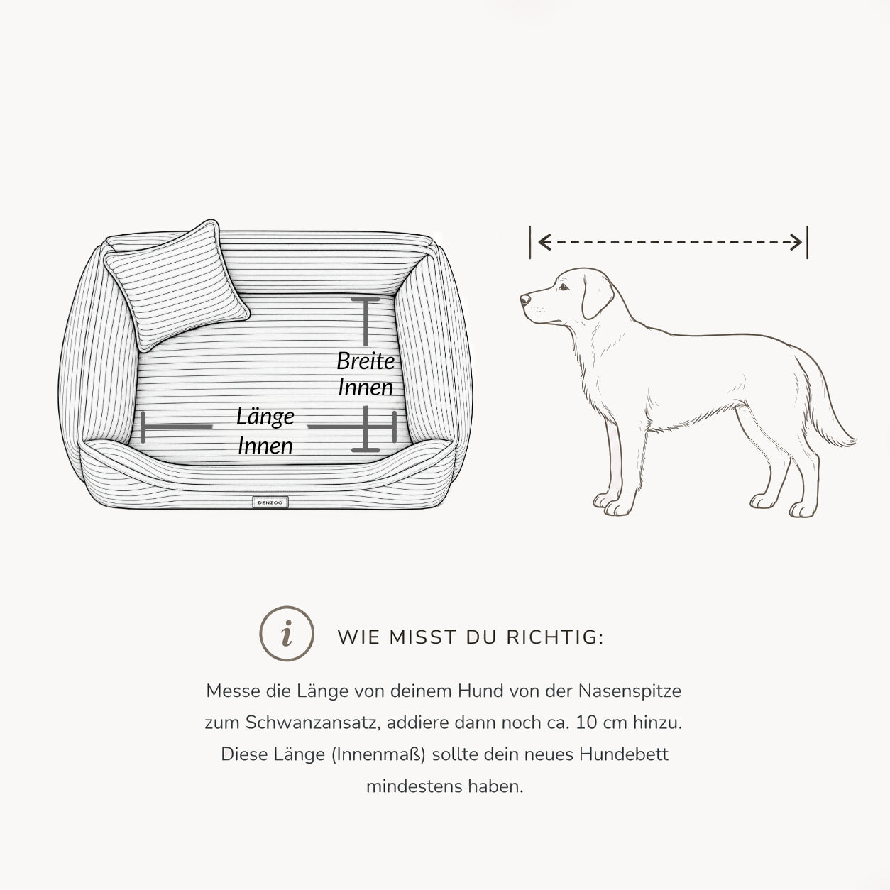Größenberatung und Messanleitung für Orthopädisches Hundebett „CORD“ – weich, formstabil & hochwertig | Made in EU