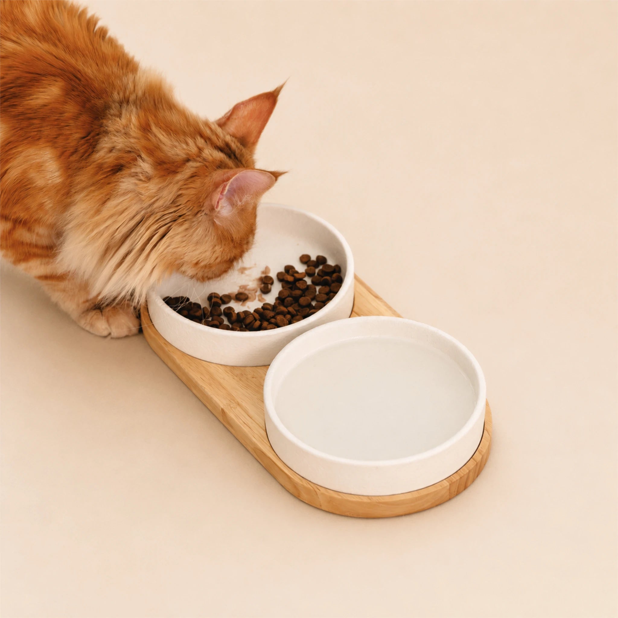 Schnurrhaarfreundliches Katzennapf-Set mit zwei Keramiknäpfen