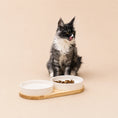 Bild in Galerie-Betrachter laden, Katze sitzt hinter Keramik-Doppelnapf für Katzen mit Holzgestell
