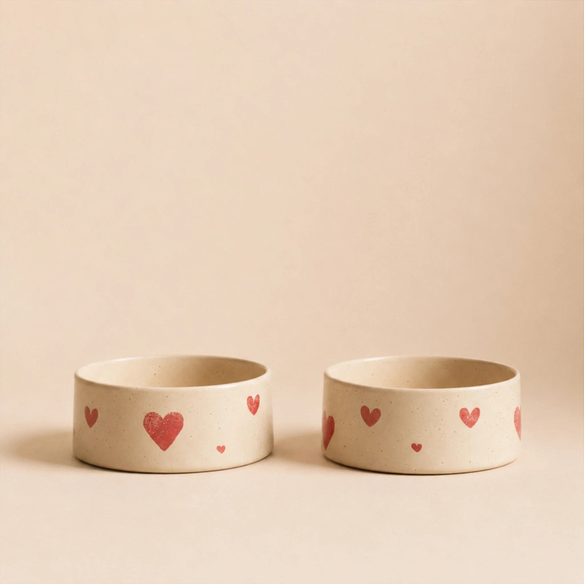 Pet bowl with silicone lid