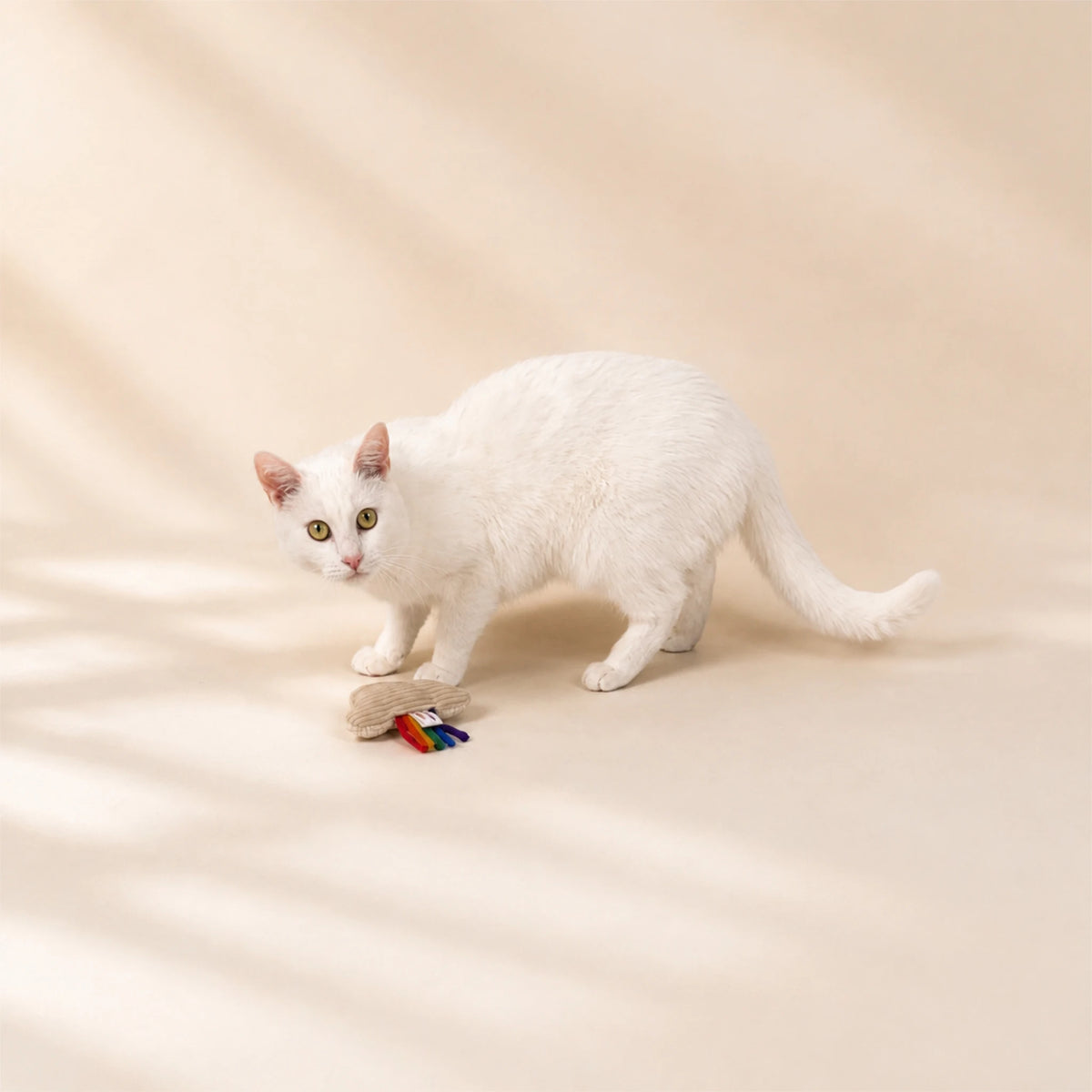 Katzenspielzeug mit Bio-Katzenminze – Katzenkissen „Regenbogen“
